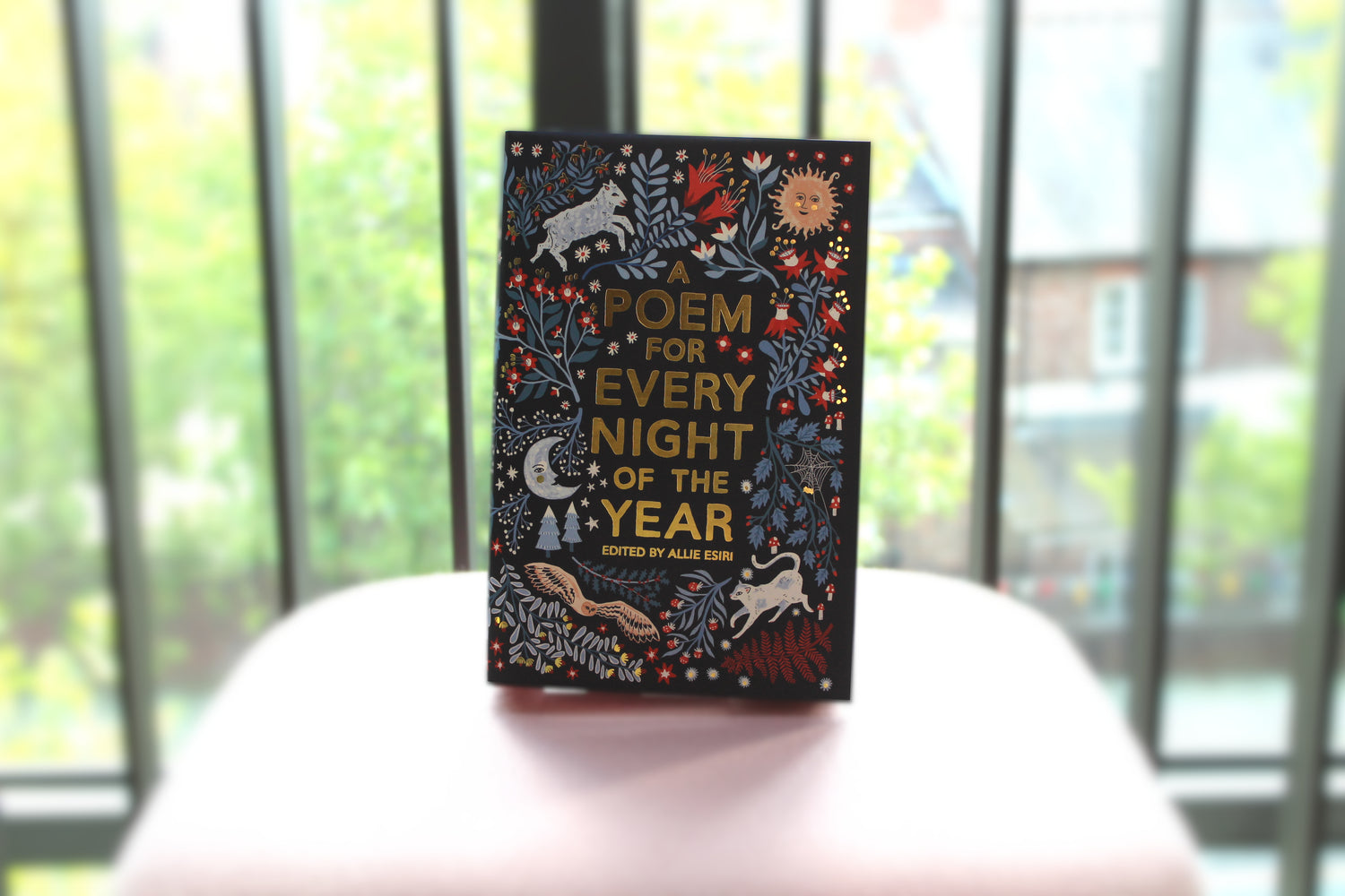 A book is on display - A Poem for Every Night of the Year with a window behind showing a backdrop of some greenery.