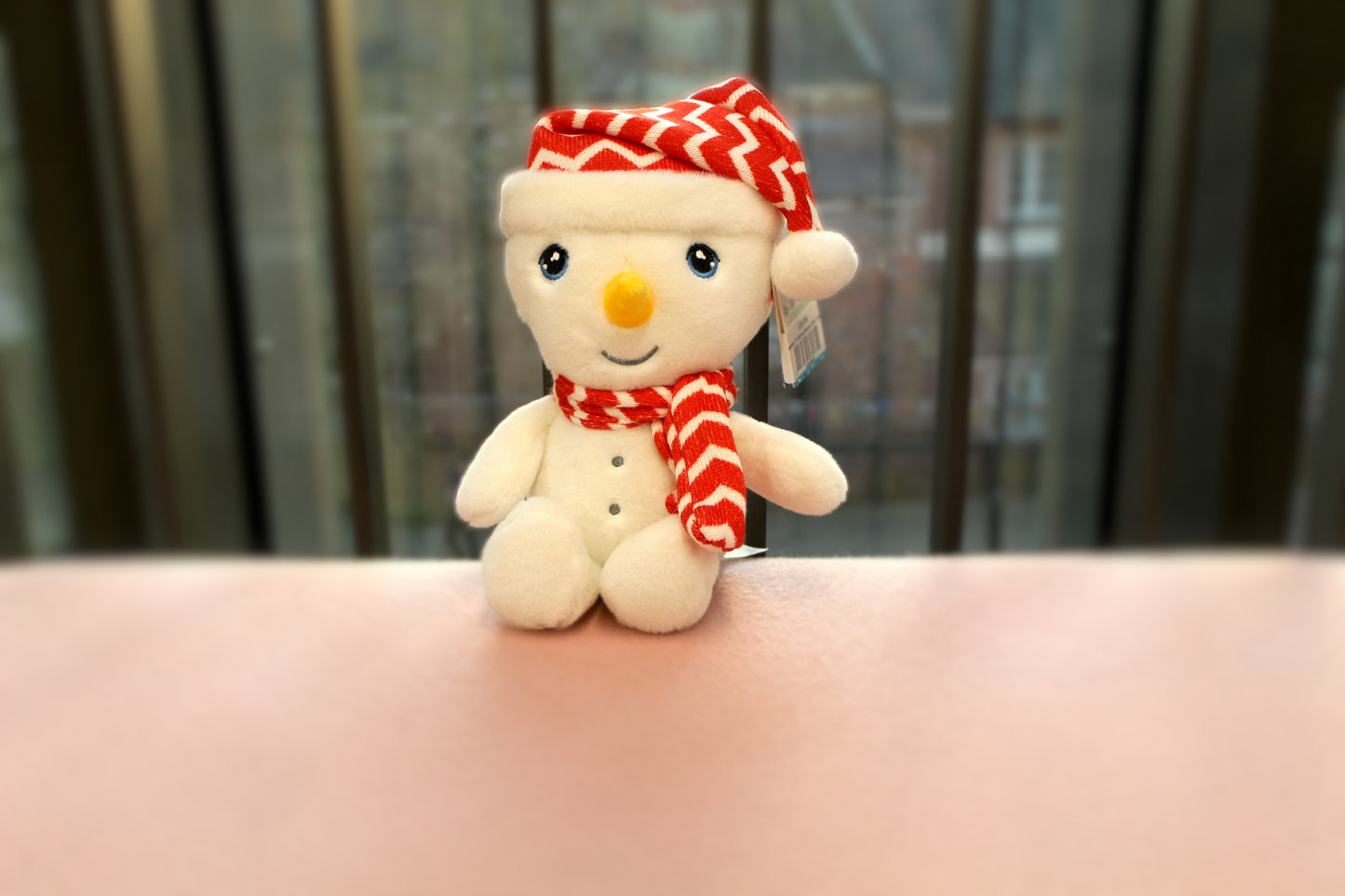 Christmas Beanie Pal Teddies