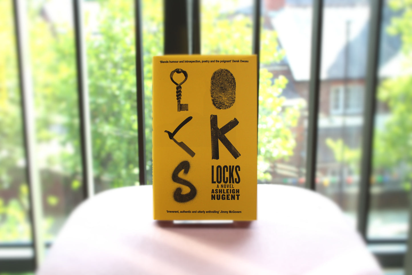 LOCKS: A Novel