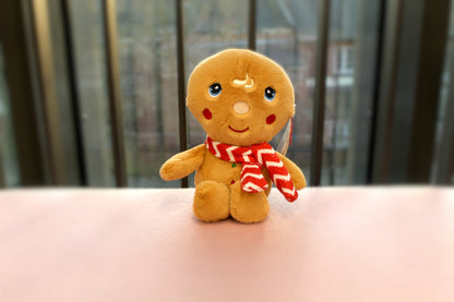 Christmas Beanie Pal Teddies