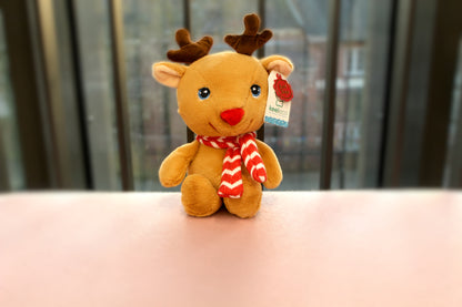 Christmas Beanie Pal Teddies
