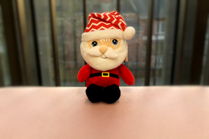 Christmas Beanie Pal Teddies