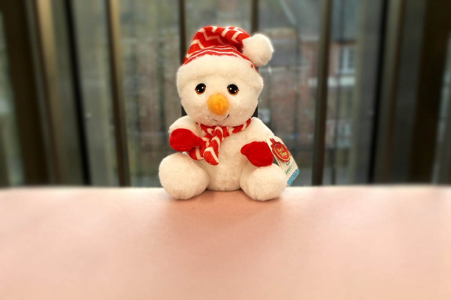 Snowman Teddy with a Hat & Scarf